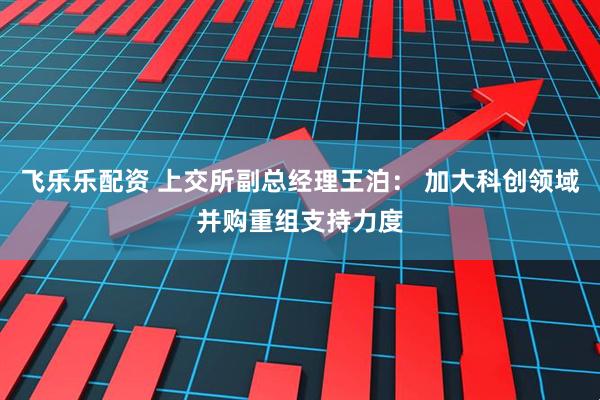飞乐乐配资 上交所副总经理王泊： 加大科创领域并购重组支持力度