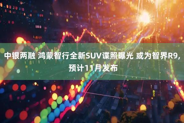 中银两融 鸿蒙智行全新SUV谍照曝光 或为智界R9, 预计11月发布