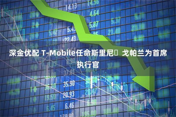 深金优配 T-Mobile任命斯里尼・戈帕兰为首席执行官
