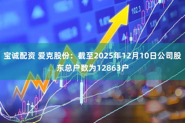宝诚配资 爱克股份：截至2025年12月10日公司股东总户数为12863户